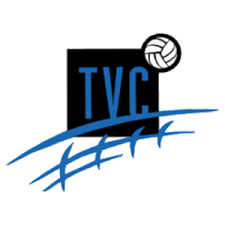 toledo volleyball club logo